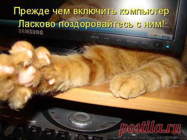 Интересные новости