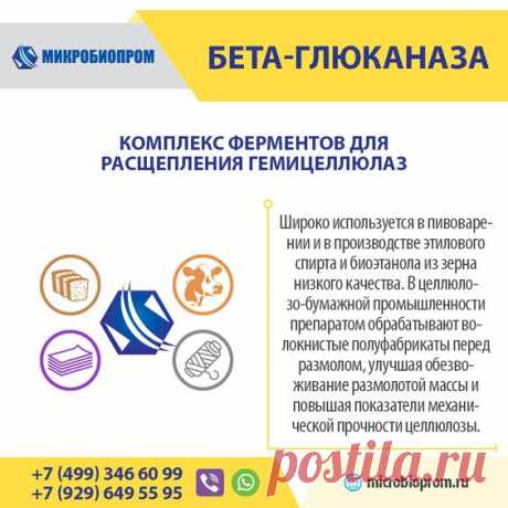 Бета-глюканаза - фермент, катализирующий 1,3 и 1,4 гликозидные связи из β-глюканов, разбивает макромолекулы вязкого полимера до низковязких изомальтозы и мальтотриозы. Фермент обладает значительным уровнем побочных активностей к расщеплению гемицеллюлозы, ксиланов и целлюлозы. Бета-глюканаза является ферментом широкого применения и эффективно используется в технологических процесса различных отраслей: производство спирта и пива, целлюлозно-бумажной и текстильной промышленности.