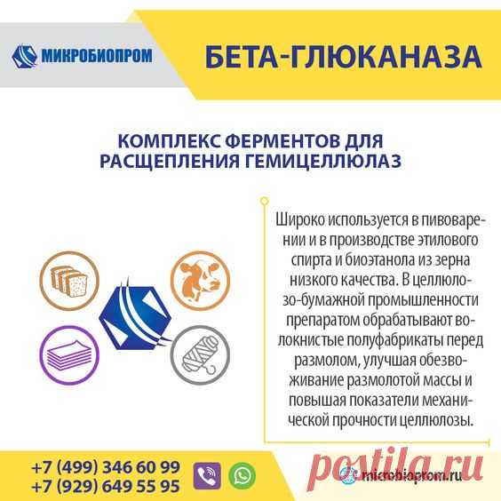 Бета-глюканаза - фермент, катализирующий 1,3 и 1,4 гликозидные связи из β-глюканов, разбивает макромолекулы вязкого полимера до низковязких изомальтозы и мальтотриозы. Фермент обладает значительным уровнем побочных активностей к расщеплению гемицеллюлозы, ксиланов и целлюлозы. Бета-глюканаза является ферментом широкого применения и эффективно используется в технологических процесса различных отраслей: производство спирта и пива, целлюлозно-бумажной и текстильной промышленности.
