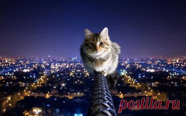 Новости