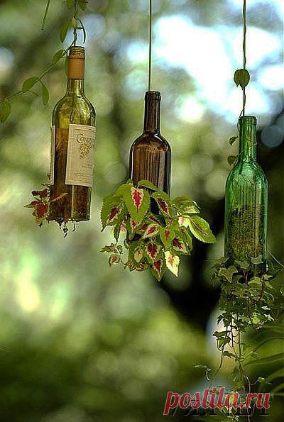 ПОДВЕСНЫЕ САДЫ