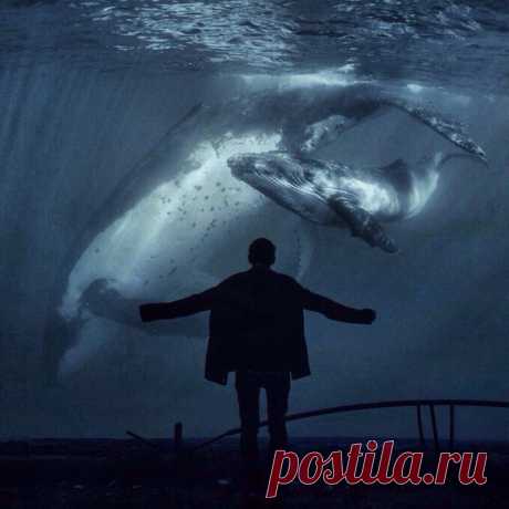 (14) Мой Мир@Mail.Ru