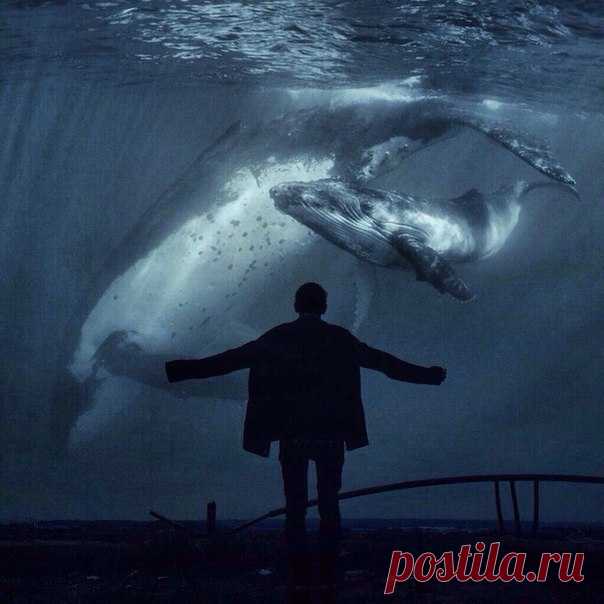 (14) Мой Мир@Mail.Ru
