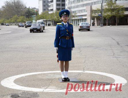 Правила дорожного движения «Сигналы регулировщика» в картинках