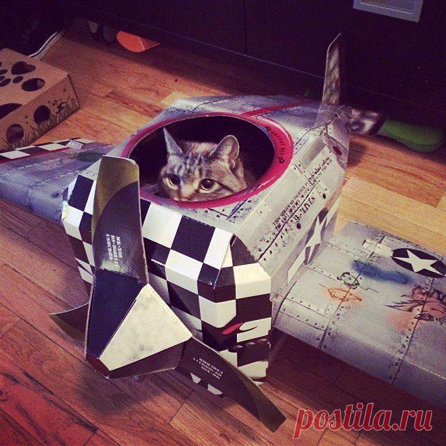 домик-самолет для питомца. 35$