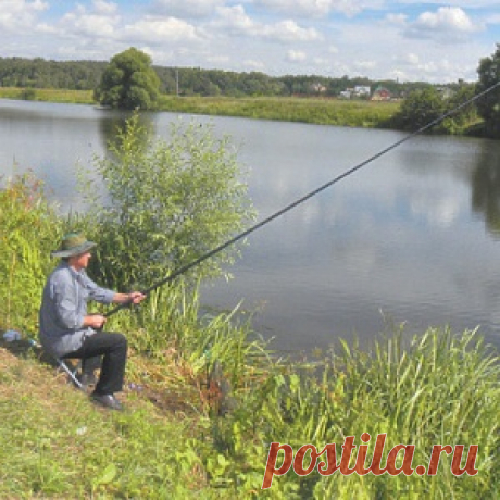 Кого ловить на малой реке летом - МирТесен