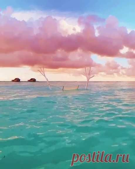 EVERGREEN Dusk on the beach✨
Source