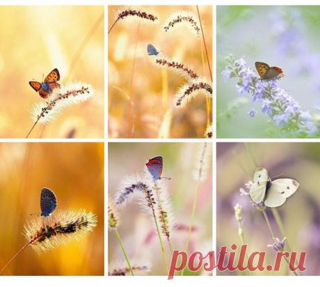 ЭКО идеи, декор и игры c РастимМир