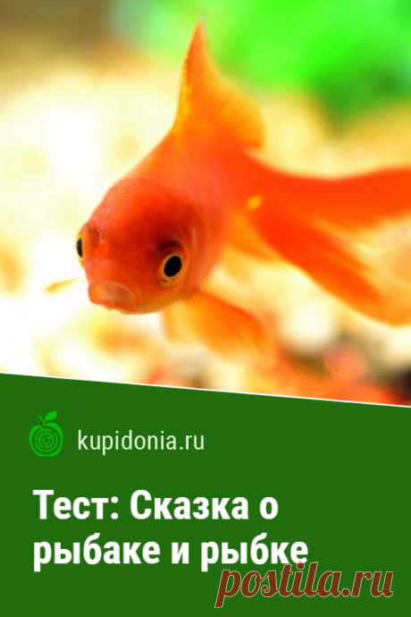 Тест: Сказка о рыбаке и рыбке. Проверочный тест по «Сказке о рыбаке и рыбке» Александра Сергеевича Пушкина. Проверьте свои знания!