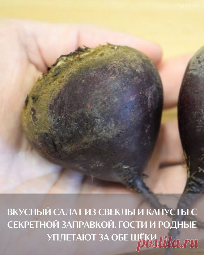Вкусный салат из свеклы и капусты с секретной заправкой. Гости и родные уплетают за обе щёки