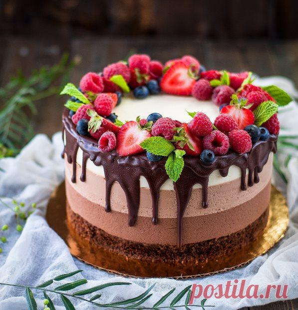 Рецепт торт три шоколада - recepty-blyud.vilingstore.net