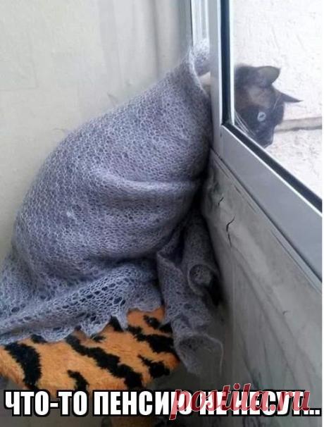 Самые прикольные картинки (54 фото)