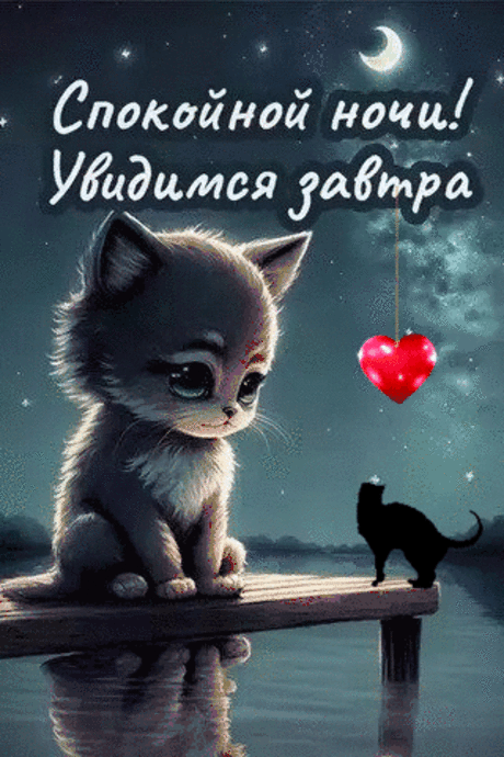 Спокойной ночи
