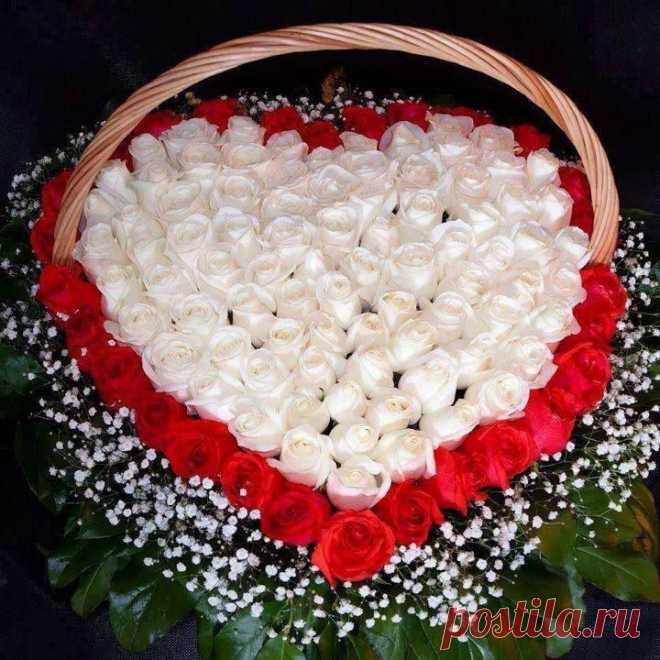 (11) Facebook