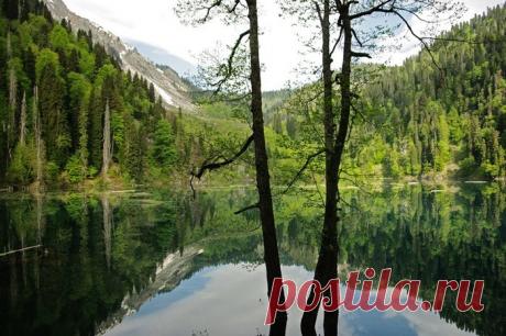 ОЗЕРО РИЦА - жемчужина Абхазии.