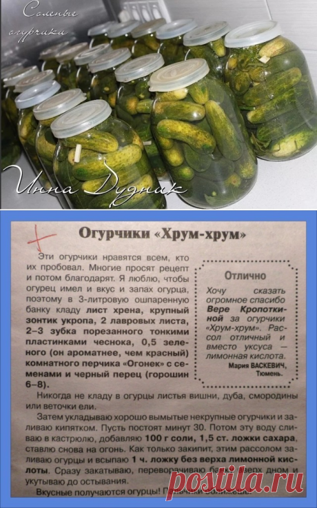 (4) Одноклассники