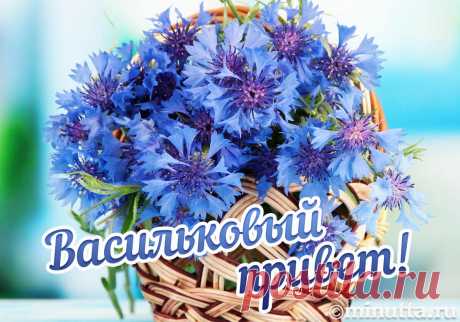 Открытки бесплатно | Минутта