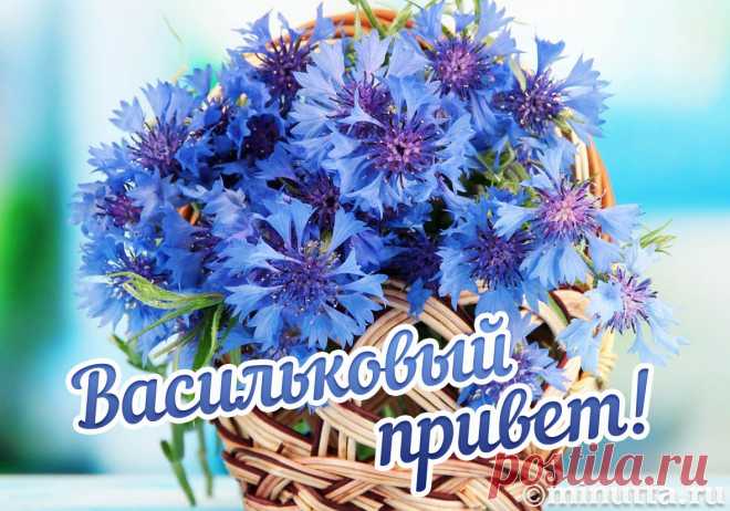 Открытки бесплатно | Минутта