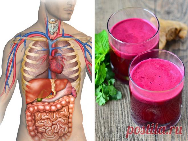 Детокс сосудов, кишечника и печени с помощью свеклы В далекой древности, знахари называли свеклу соком жизни. Она до сих пор считается одним из наилучших очищающих продуктов для нашего организма. Давайте узнаем, как лучше очистить сосудистую систему, печень и пищеварительный тракт с помощью различных средств на основе свеклы.