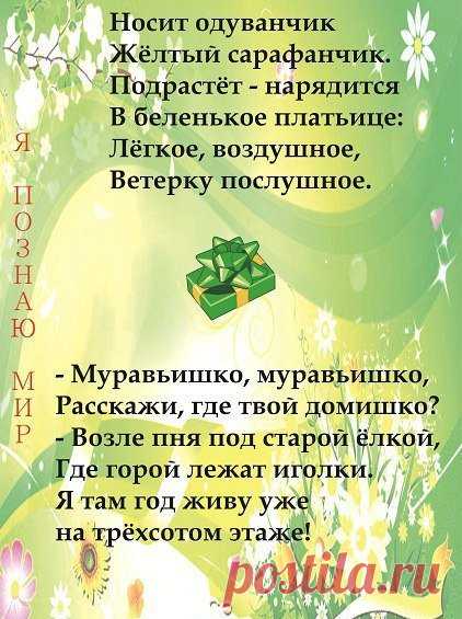 МАМА™
