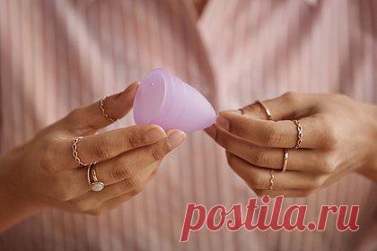 Ребенок принес в школу любимую игрушку и опозорил родителей