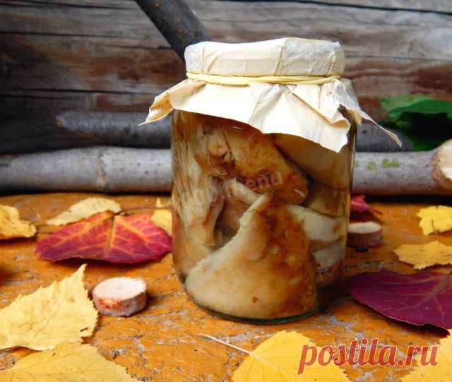 Грузди на зиму горячий способ рецепт с фото пошагово - 1000.menu