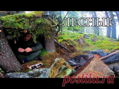 БЕЗ СНАРЯЖЕНИЯ ОДИН В ТАЙГЕ | НАЙТИ ЕДУ И ВОДУ | ПОСТРОИТЬ УКРЫТИЕ | РЕАЛЬНОЕ ВЫЖИВАНИЕ