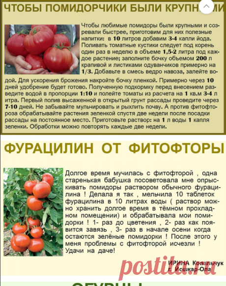 (1) Одноклассники