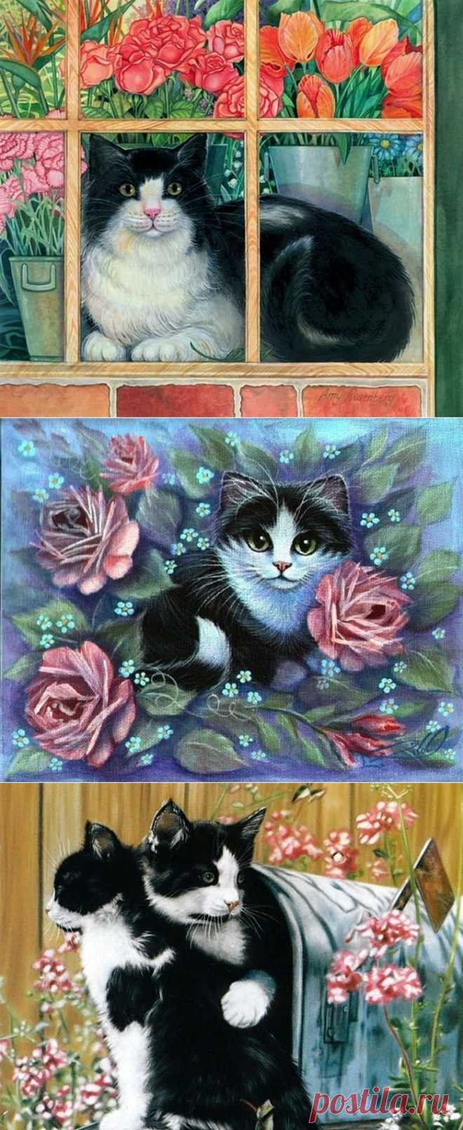 Чёрно-белые котики