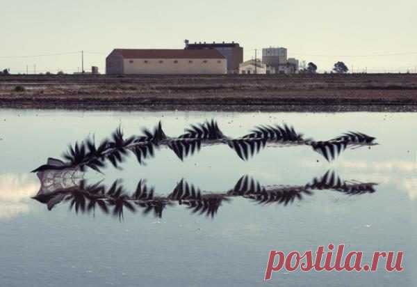 Хави Боу: фотографии, поражающие воображение / Домоседы