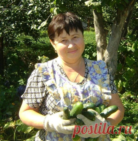 Опыт огородников. Подкормка растений дрожжами. - Огурцы - Женский Мир