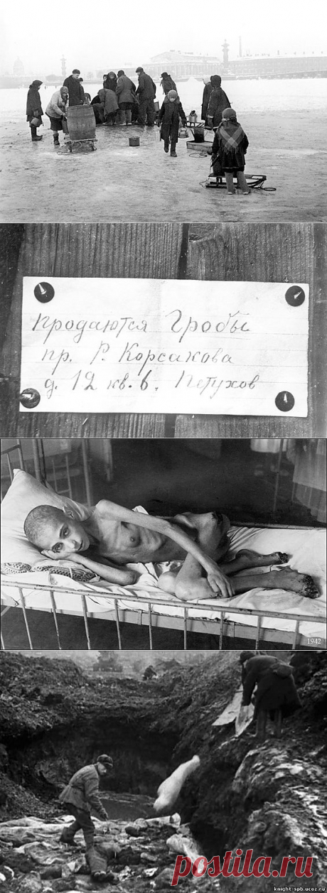 В истории Ленинграда теперь нет блокады / Закон и Порядок