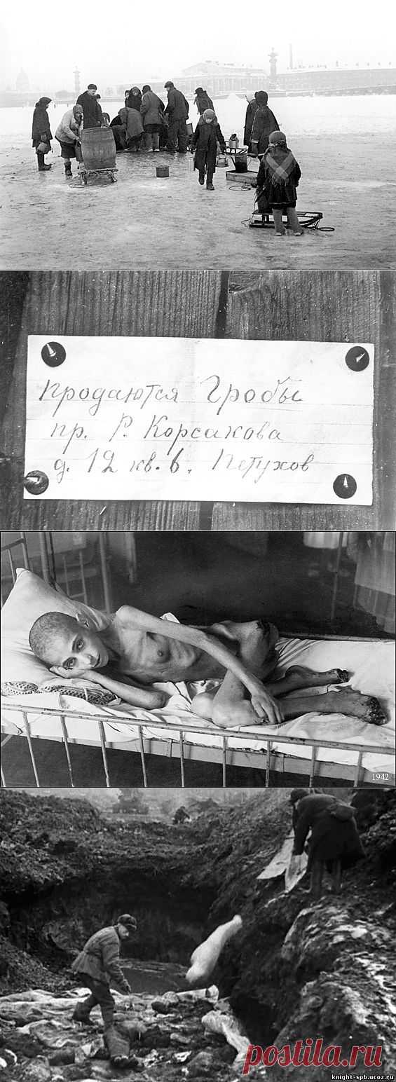 В истории Ленинграда теперь нет блокады / Закон и Порядок