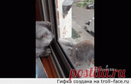 Популярное – Google+