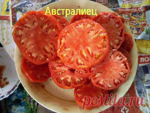 Каталог Ишимцевой