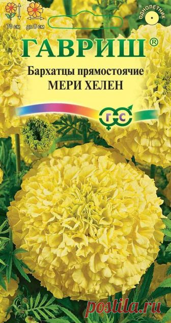 Семена. Бархатцы прямостоячие 