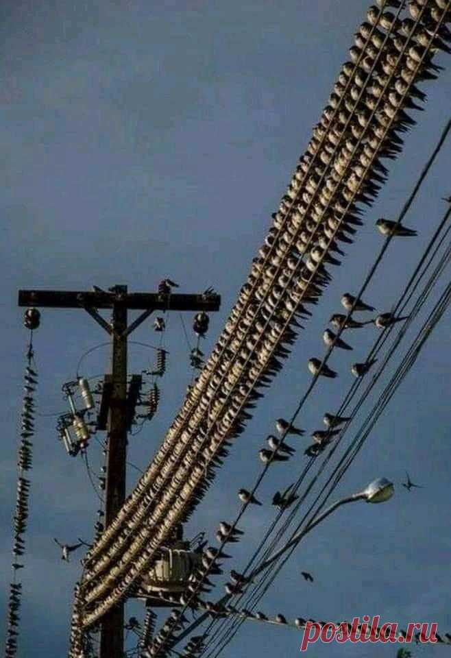 Вот почему мой интернет чертовски медленный. 🤔😊
Все в сети! 👇...😂😀👍