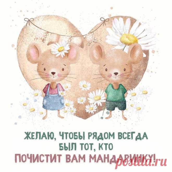 Кто почистит вам мандаринку (открытка 919): Бесплатные картинки &#8226; Otkrytki.Top