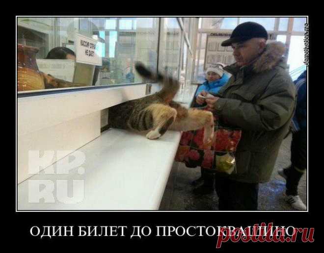Замечательные Демотиваторы / Писец - приколы интернета