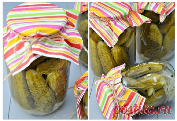Маринованные огурчики по-болгарски как в Советские времена. Вкуснющие - Скатерть-Самобранка - медиаплатформа МирТесен