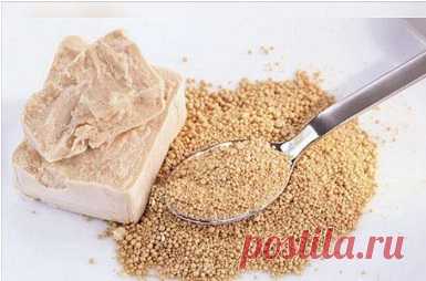 Рецепты приготовления дрожжевой подкормки