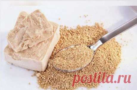 Рецепты приготовления дрожжевой подкормки