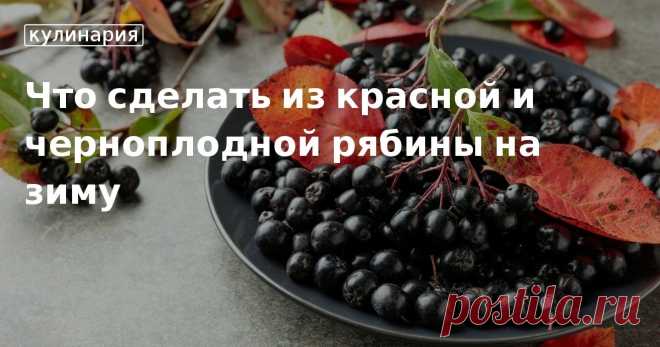 Что сделать из красной и черноплодной рябины на зиму. Кулинарные статьи и лайфхаки Что сделать из красной и черноплодной рябины на зиму. Рецепты, лайфхаки, обзоры и интересные истории из жизни. Все о доме, семье, уюте, готовке, а также рецепты с фото на сайте Едим Дома