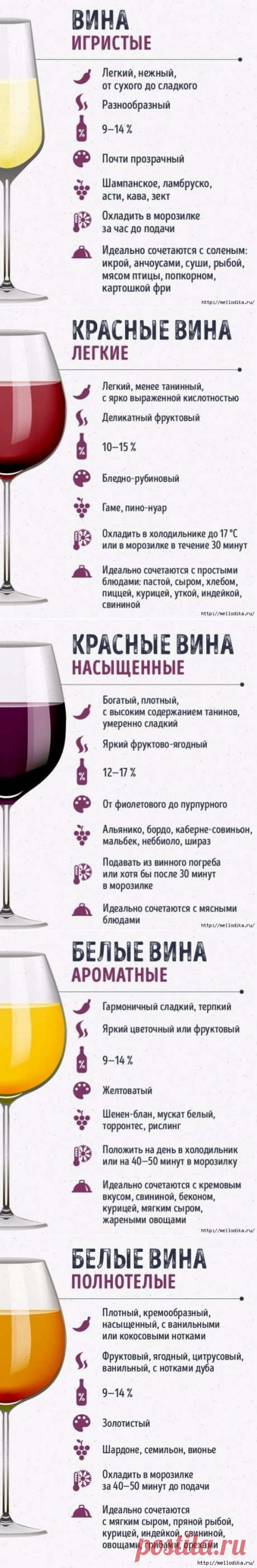 Этот гид по винам сделает из вас настоящего сомелье