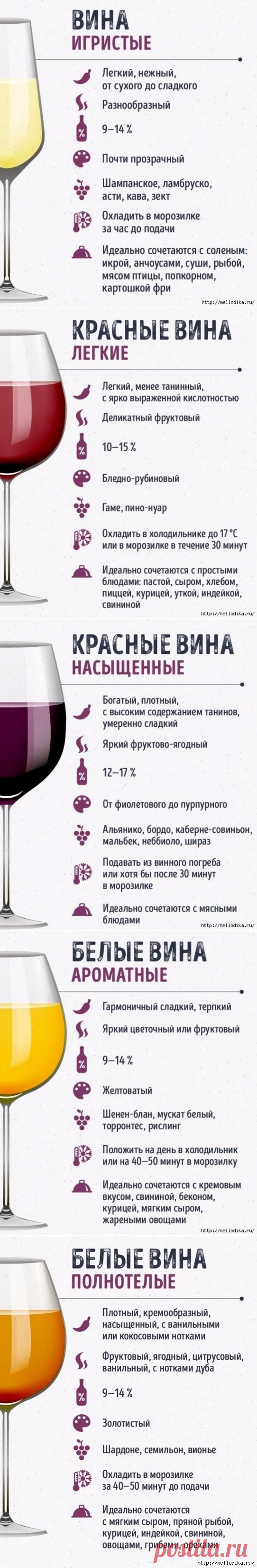 Этот гид по винам сделает из вас настоящего сомелье