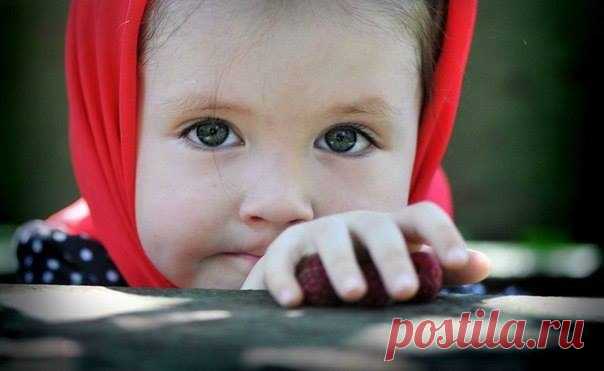 Цитата дня