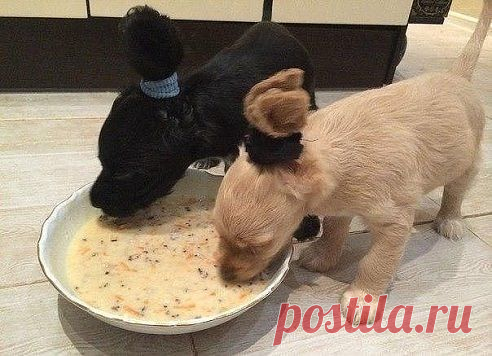 Медики лечат ПОЗИТИВОМ
СветЛАНА *******