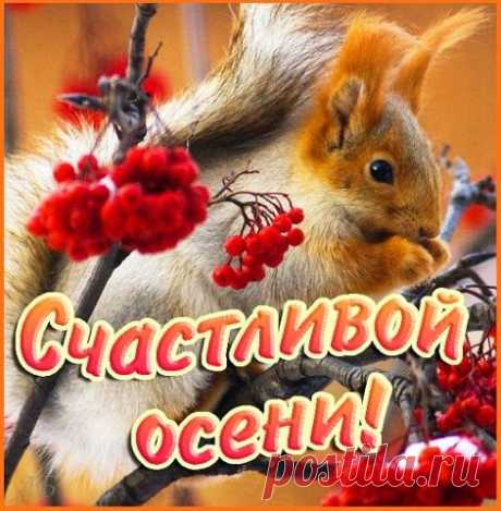 ♥๑ஐ♥  Дворик для души♥๑ஐ♥
Любовь Кораблева