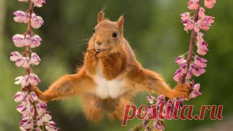 Чем опасно растение с глазами (фото) - Mail Новости