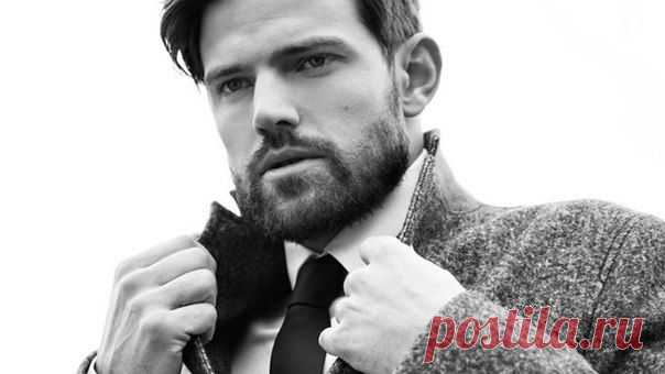 - Почему ты сразу отказываешься от людей, как только они совершают ошибку. Ты всю жизнь так и проведешь в одиночестве. 
- Знаешь, к голоду я привык, а к плохой еде нет...


"Статусы . Всё Лучшее в Контакте ."